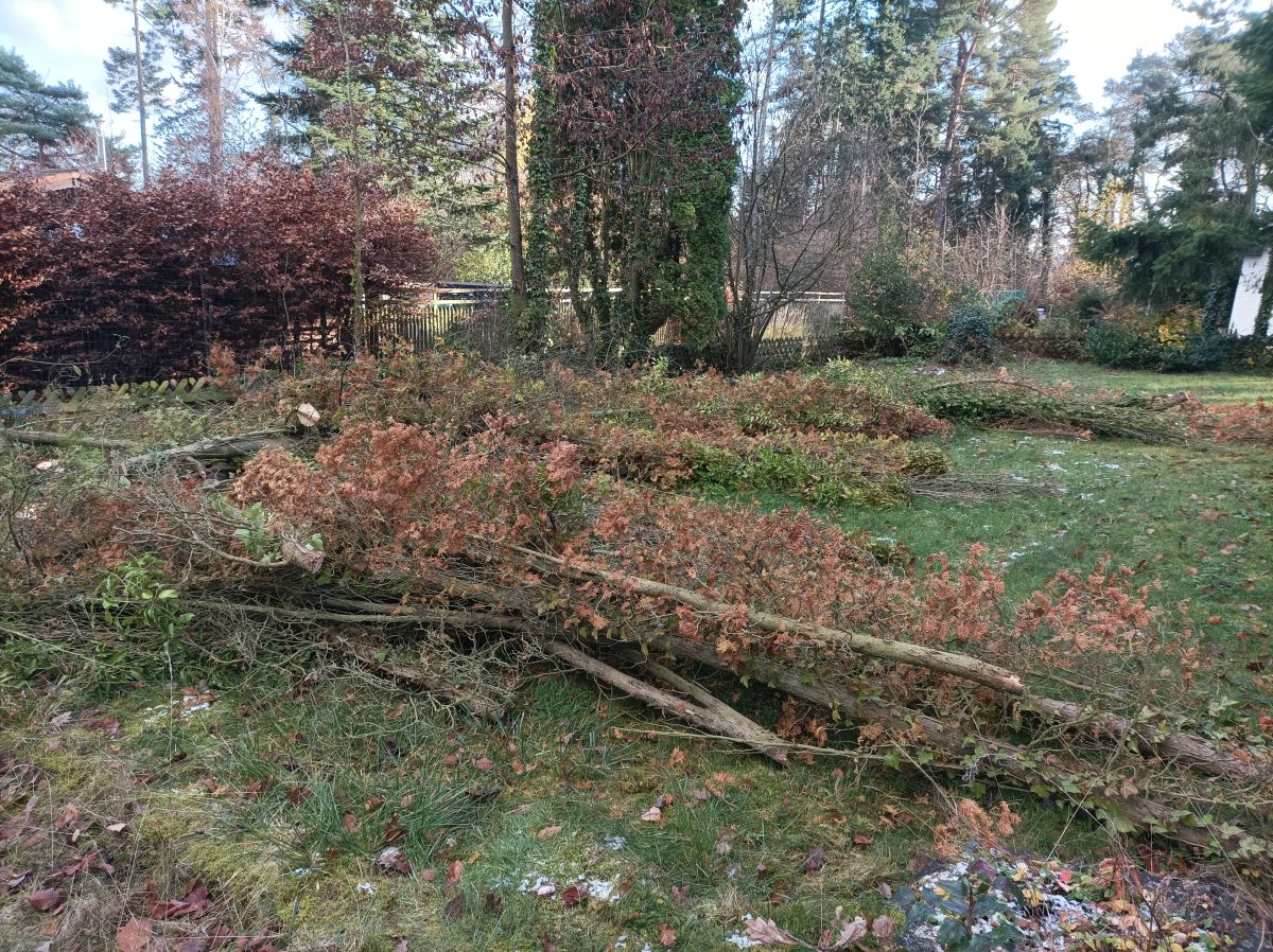 Rückschnitt und Gartenpflege
