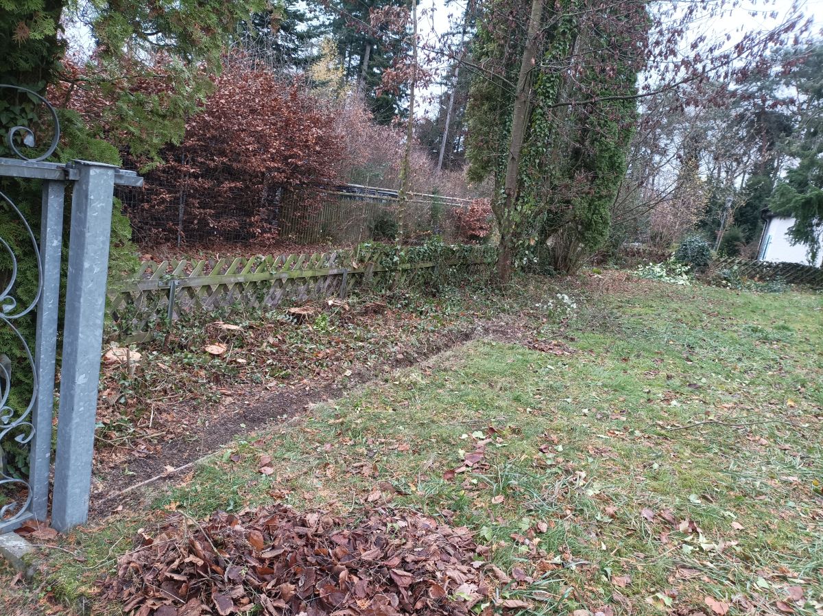 Gartenbereich nach Pflegearbeiten
