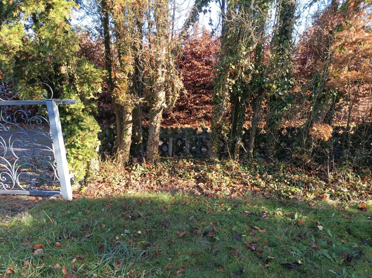 Gartenbereich vor Pflegearbeiten