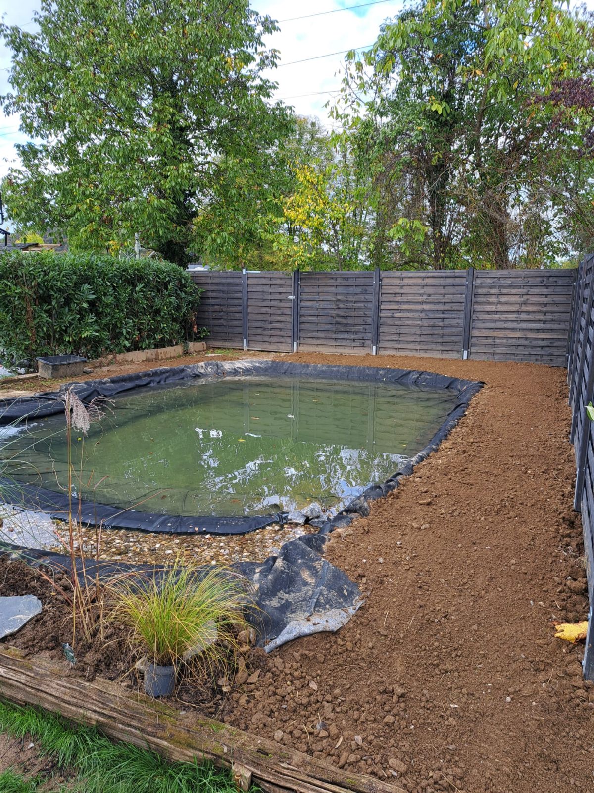 Projekt Gartenpflege